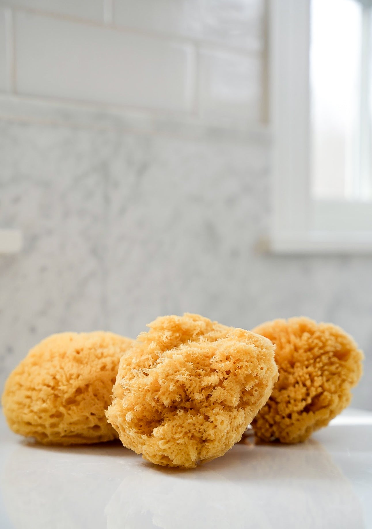 The 5" Natural Wool Sea Sponge