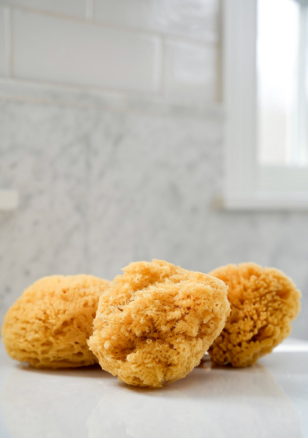The 5" Natural Wool Sea Sponge