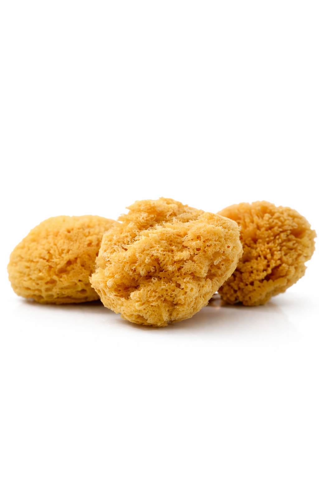 The 5" Natural Wool Sea Sponge