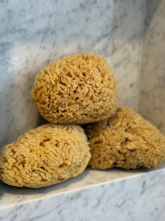 5" Natural Wool Sea Sponge